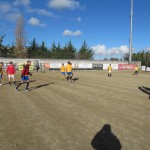 IMG_4242