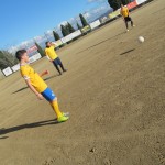 IMG_4247