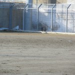 IMG_4334